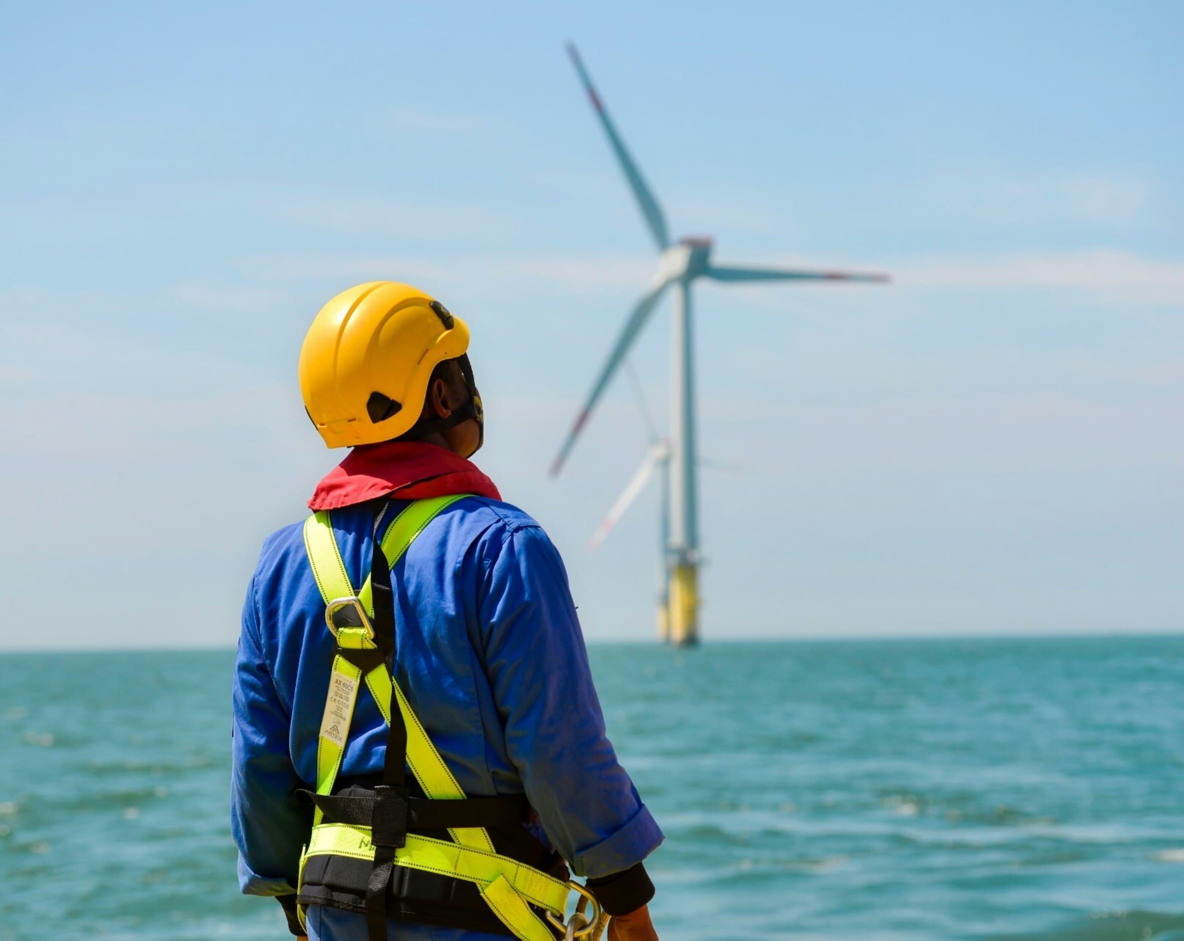 Biological Contamination in Offshore Wind Turbines: The Hidden Hazard
