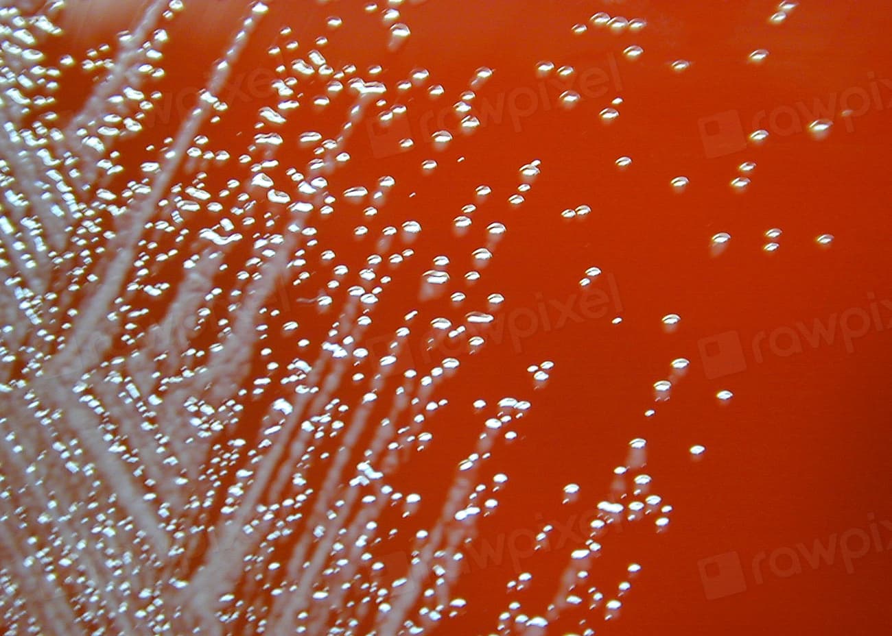 GB Biocidal Products Regulation for Offshore Wind Cleaning